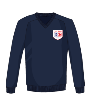 DC VNECK NB JUMPER