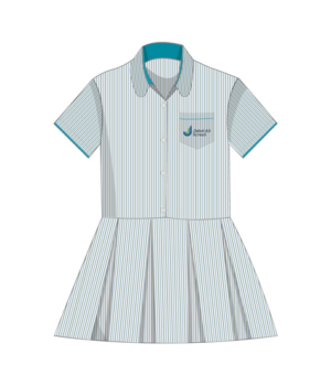 JAS STRIPE DRESS PRI