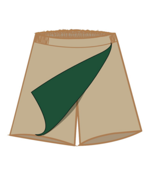 CEDAR SKORTS PRI