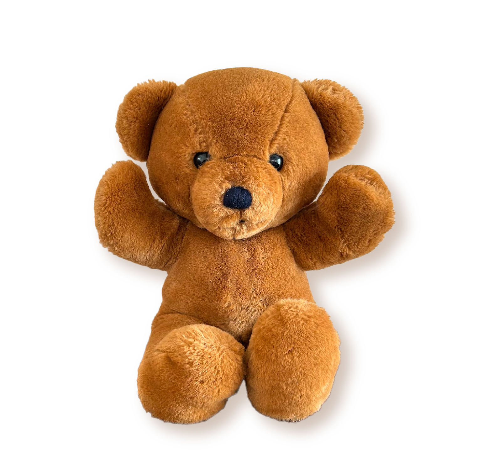BROWN SOFT TEDDY RUISHI